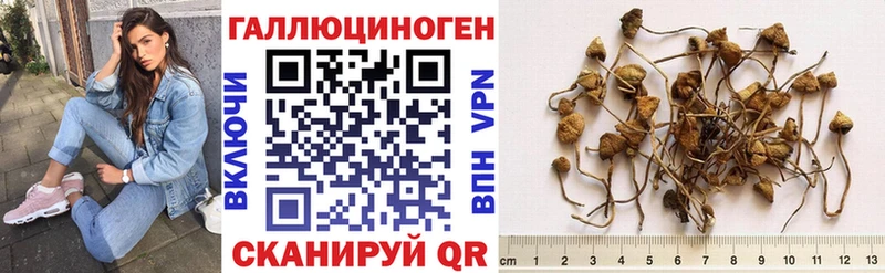 Псилоцибиновые грибы мицелий  наркошоп  Сольцы 